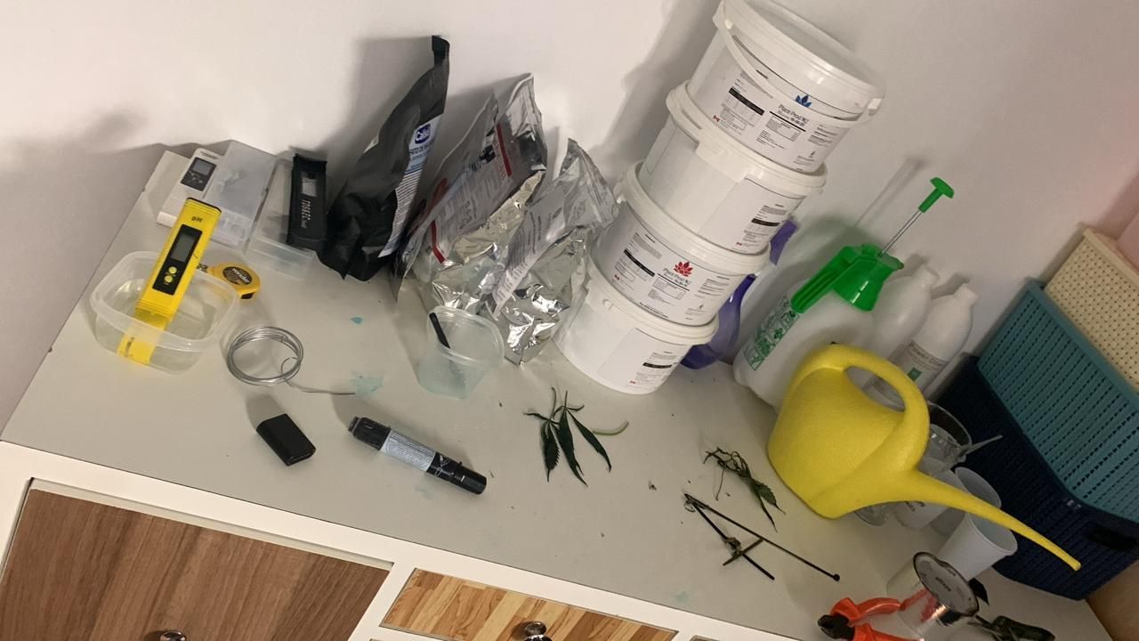 Operação da Polícia Civil prende mais de 20 pessoas envolvidas com tráfico de drogas e lavagem de dinheiro