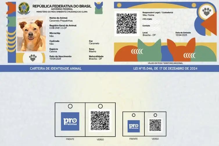 Saiba quantos pets já têm 'RG animal' no Brasil