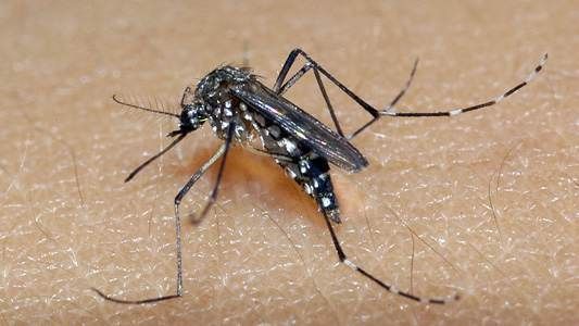 Prefeitura de Itabirito realiza mutirão de limpeza contra dengue