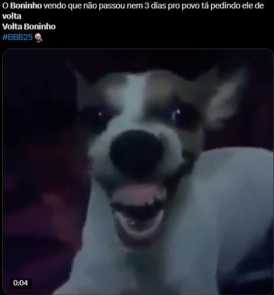 Memes "Volta Boninho"