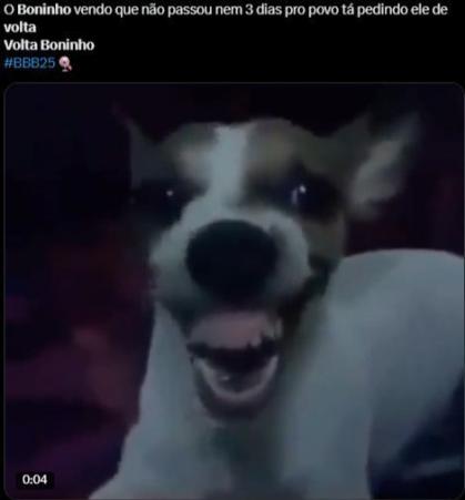 Memes "Volta Boninho"