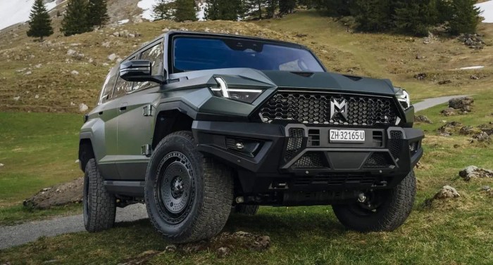 Dongfeng MHero