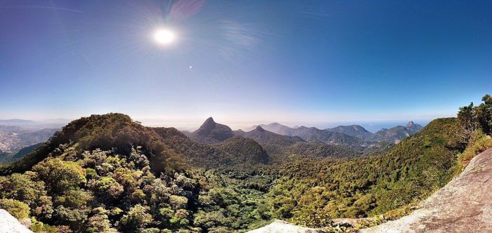 Panorâmica da Floresta da Tijuca a partir do Pico do Papagaio