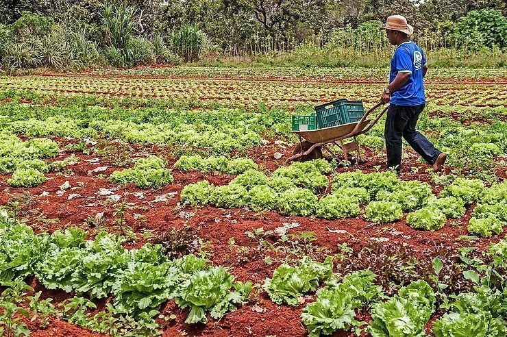 Programa Cooperaf apoia cooperativas de agricultura familiar em Minas Gerais