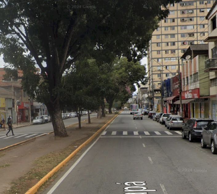 Avenida Macapá ficará interditada para podas de árvores nesta sexta-feira (15)