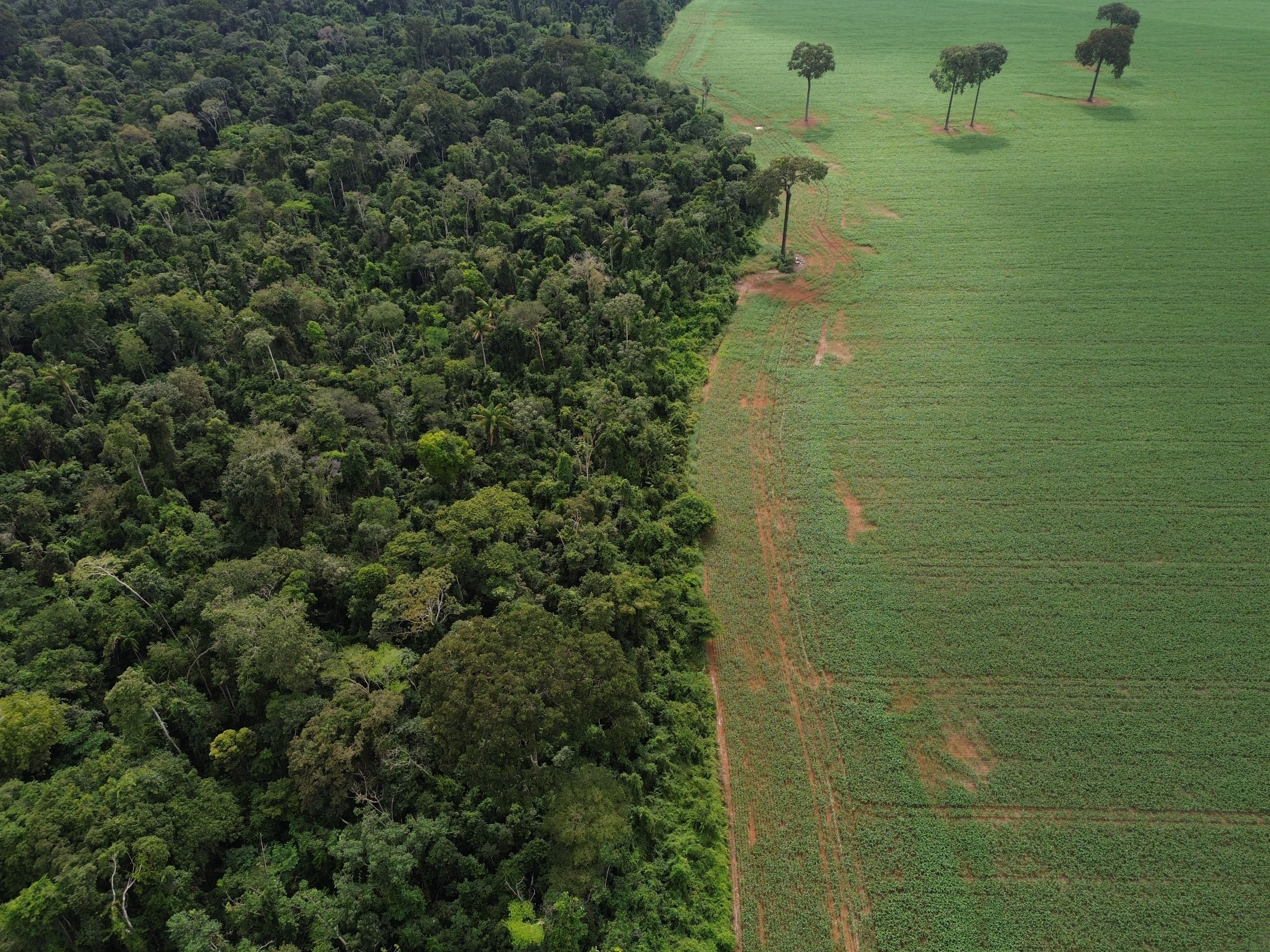 Plano Clima disponibiliza R$ 27,5 bi para ações contra à crise climática