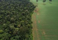 Plano Clima disponibiliza R$ 27,5 bi para ações contra à crise climática