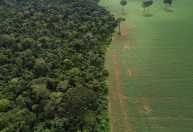 Descoberta em floresta tropical revela presença humana muito antes do previsto