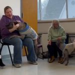 Inspirado por vídeo viral, abrigo permite que cães 'escolham' tutores