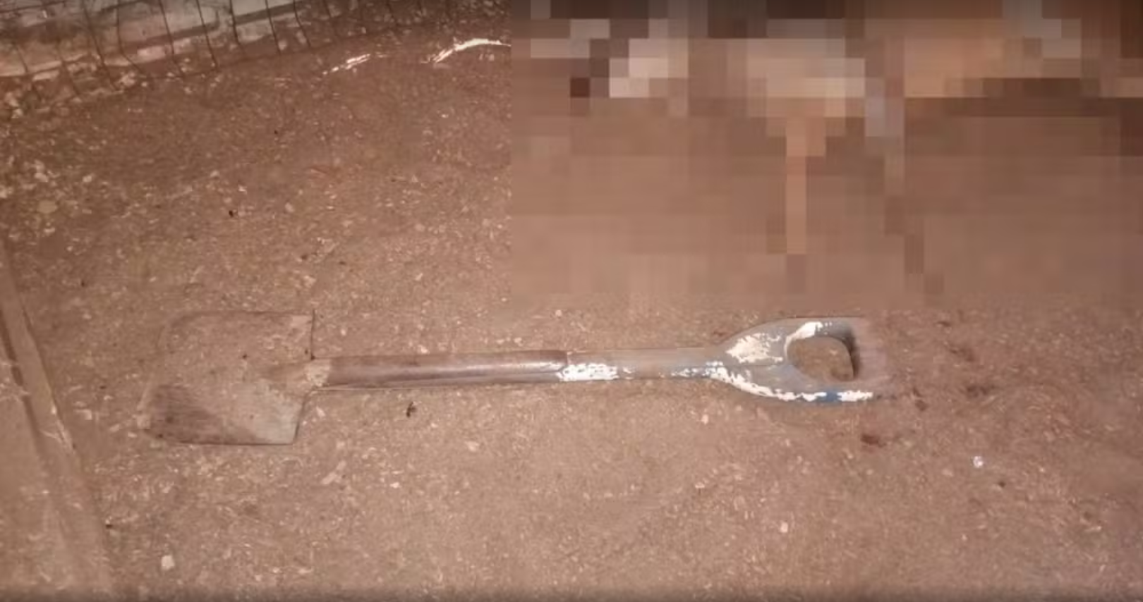 Homem invade zoológico no RS, ataca animais e é preso