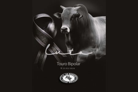 • Redes sociais/Cia Paulo Emílio