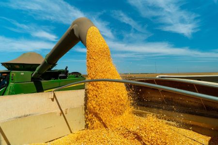 Etanol de milho: Mato Grosso produz 5,6 bilhões de litros e lidera mercado