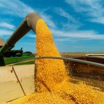 Homem é preso suspeito de furtar mais de 10 toneladas de milho na Bahia