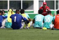 Baixa abre espaço para reforço de R$ 38 milhões se provar no Palmeiras