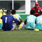 Baixa abre espaço para reforço de R$ 38 milhões se provar no Palmeiras