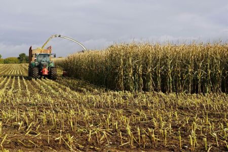 Milho, aves e açúcar: entenda impactos da guerra no Oriente Médio