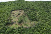 Multas por desmatamento ilegal no Norte de Minas somam mais de R$ 720 mil