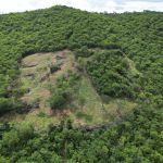 Multas por desmatamento ilegal no Norte de Minas somam mais de R$ 720 mil