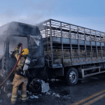 Caminhão que transportava porcos pega fogo no Campo das Vertentes