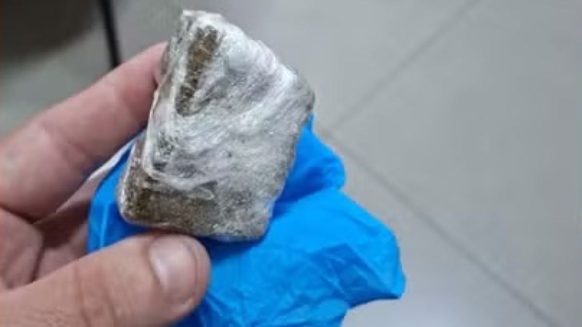 Professora acha maconha em mochila de bebê; mãe diz que 'esqueceu' a droga