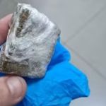 Professora acha maconha em mochila de bebê; mãe diz que 'esqueceu' a droga