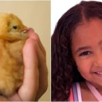 Criança morre eletrocutada enquanto cuidava de pintinhos no interior da Bahia