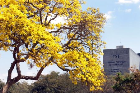 Tribunal Superior do Trabalho