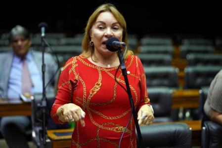 A deputada federal Gorete Pereira (MDB-CE)