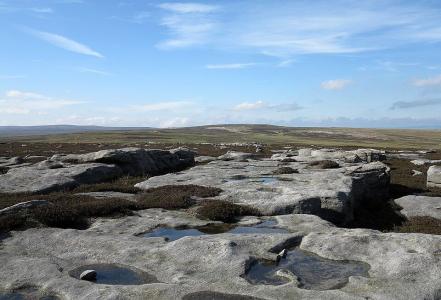 Afloramentos de arenito ao norte de Healaugh Crag • Afloramentos de arenito ao norte de Healaugh Crag por Trevor Littlewood , CC BY-SA 2.0, via Wikimedia Commons