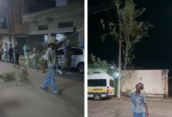 Vídeo: Homem surpreende com 'galho gigante' em procissão de Domingo de Ramos, em MG