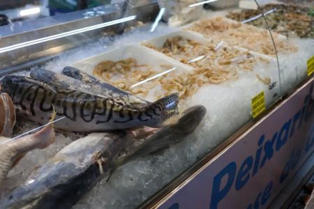 Consumo de peixes aumenta durante a Semana Santa