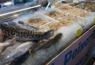 Semana Santa: dicas para compra e preparo do peixe para almoço de Páscoa