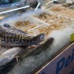 Semana Santa: dicas para compra e preparo do peixe para almoço de Páscoa