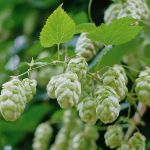 Governo zera imposto de importação de quase mil produtos; saiba quais