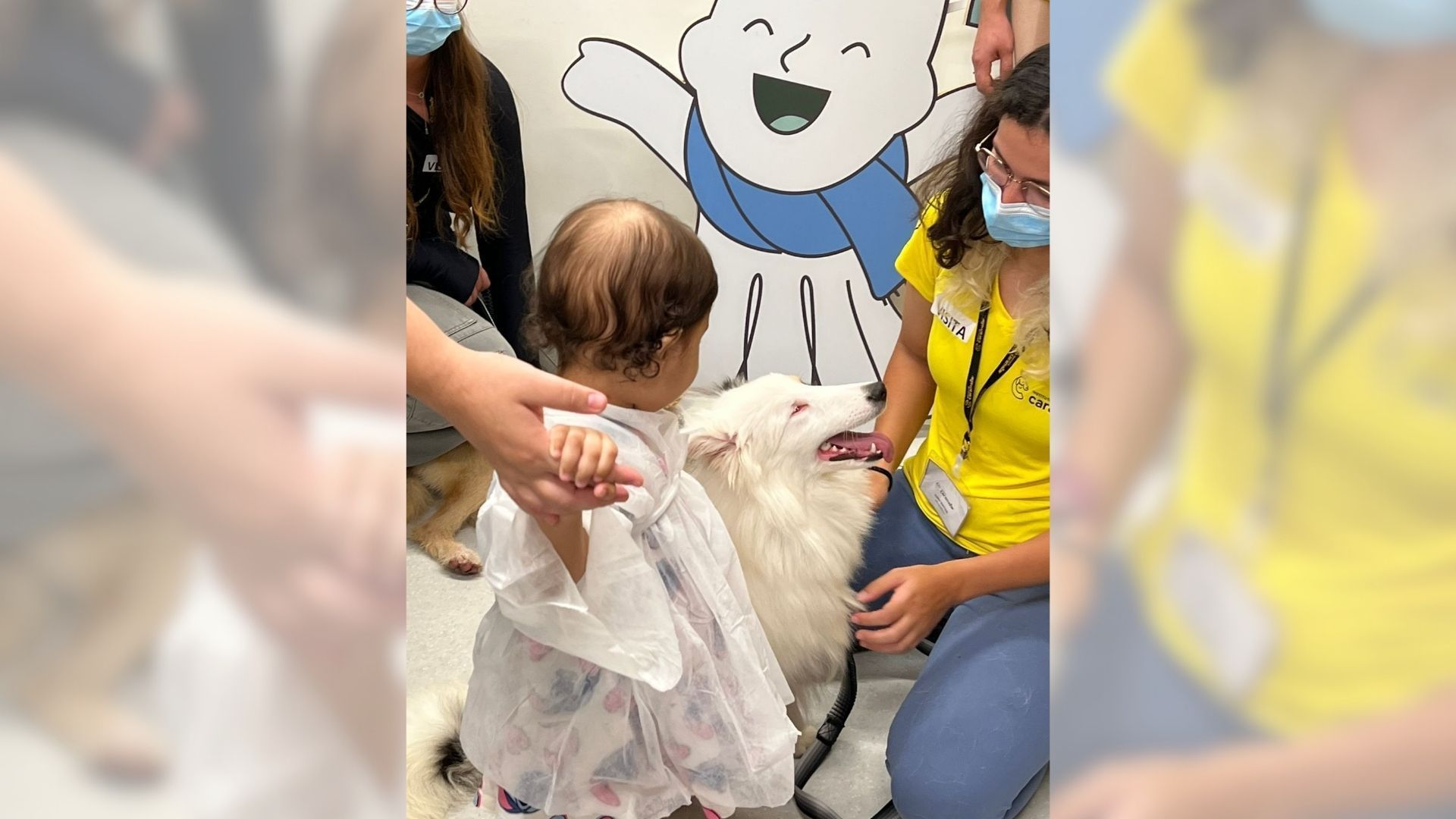 Cães resgatados viram terapeutas em hospital para dar apoio a crianças