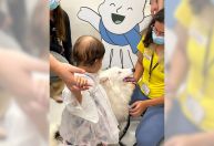 Cães resgatados viram terapeutas em hospital para dar apoio a crianças