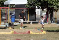 Campinas libera pets em todos os parques e bosques da cidade; saiba mais