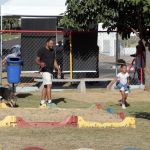Campinas libera pets em todos os parques e bosques da cidade; saiba mais