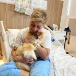 Hospitais de Salvador permitirão que tutores recebam visita de pets