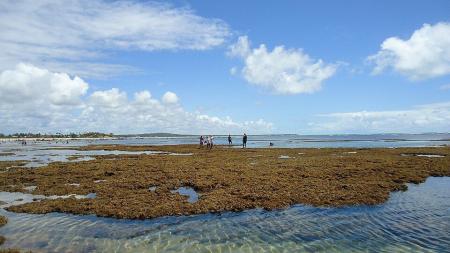 Praia da Espera - Itacimirim - Camaçari-BA • Adnailza, CC BY-SA 3.0, via Wikimedia Commons