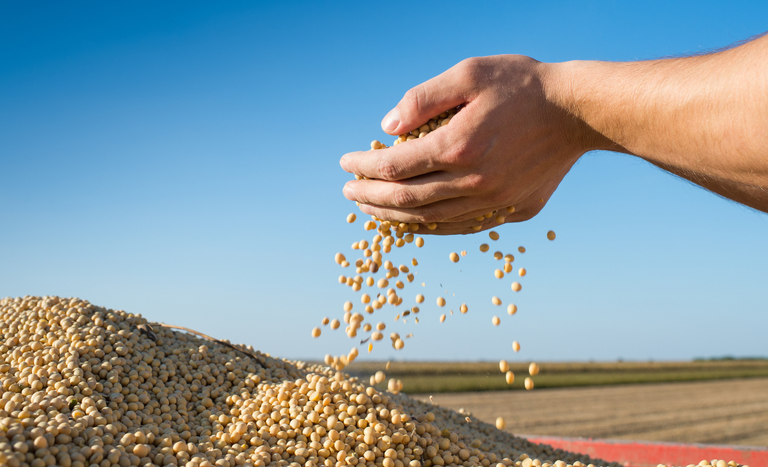 Agro brasileiro exporta US$ 169,2 bilhões em 2025 e reforça papel global