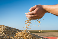 Agro brasileiro exporta US$ 169,2 bilhões em 2025 e reforça papel global