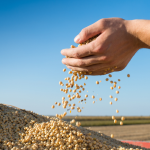 Agro brasileiro exporta US$ 169,2 bilhões em 2025 e reforça papel global