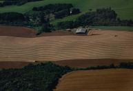 Colheita da soja no Paraná chega a 82% e safra pode bater recorde