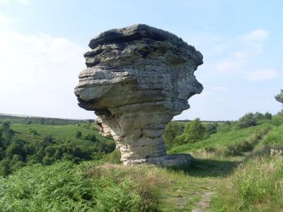 The Pepperpot em Bridestones Moor - geograph • David Hillas / The Pepperpot on Bridestones Moor