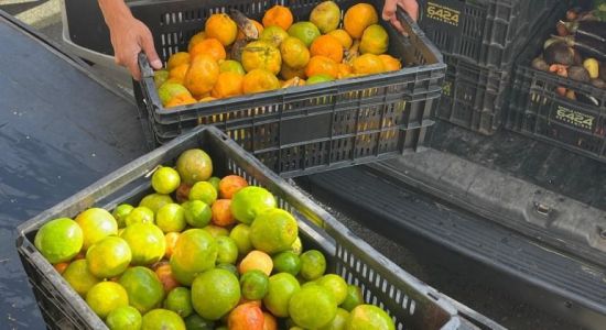 Banco de Alimentos PBH