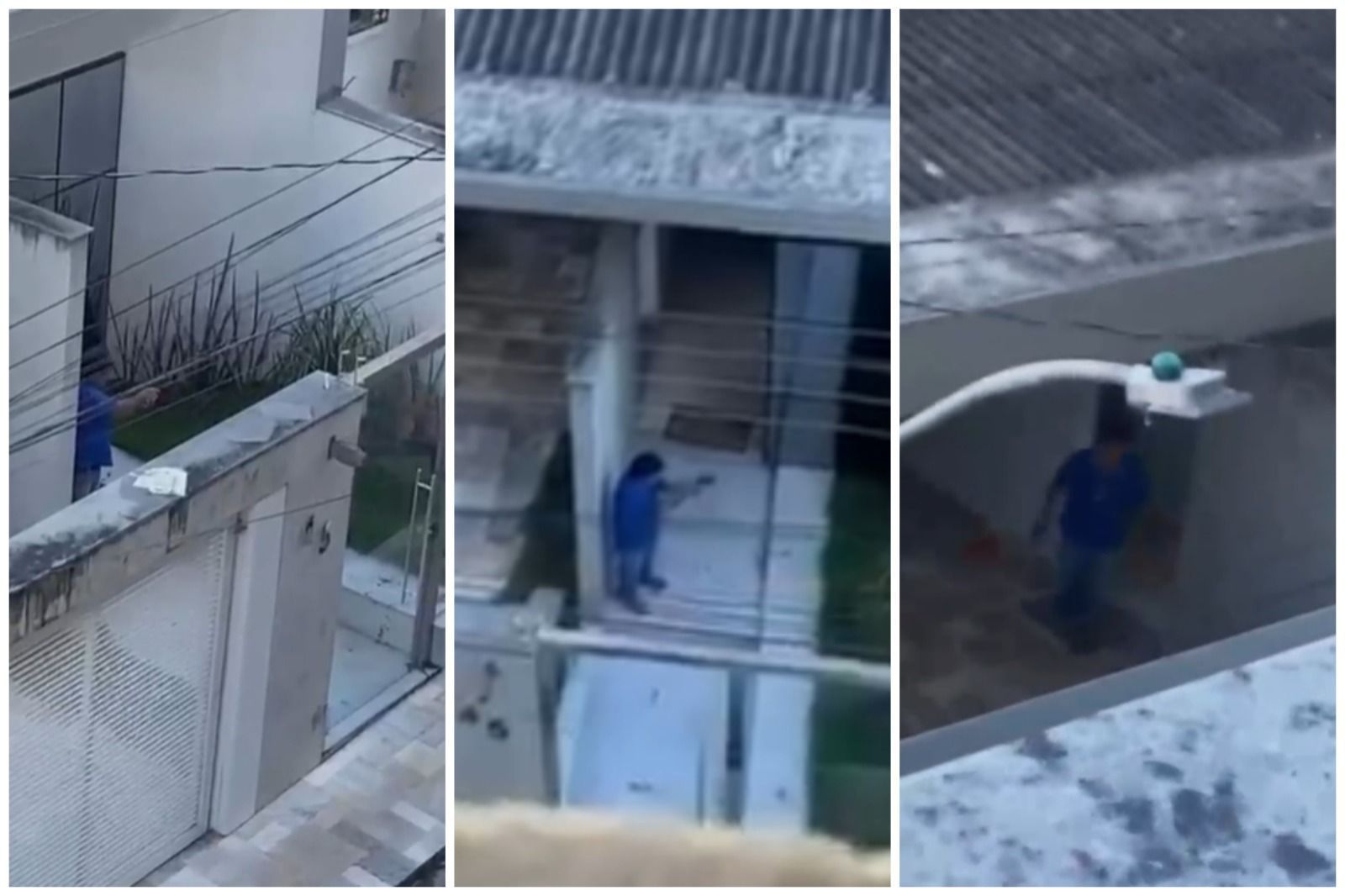 Suspeito de matar cão a tiros em Pará de Minas foi preso por maus-tratos
