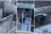 Homem executa cachorro a tiros e gera revolta em Pará de Minas; vídeo