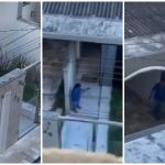 Suspeito de matar cão a tiros em Pará de Minas foi preso por maus-tratos