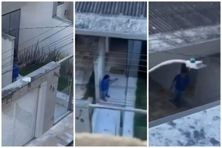 Suspeito de matar cão a tiros em MG é solto após pagar R$ 20 mil de fiança